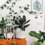 how to winterize your plants indoors